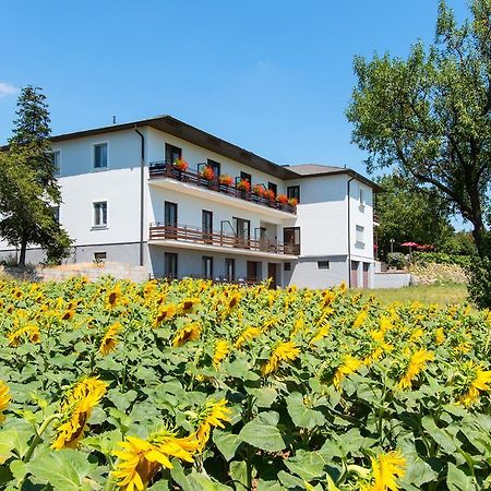 Gasthof-Pension Wein Breitenbrunn am Neusiedler See Esterno foto