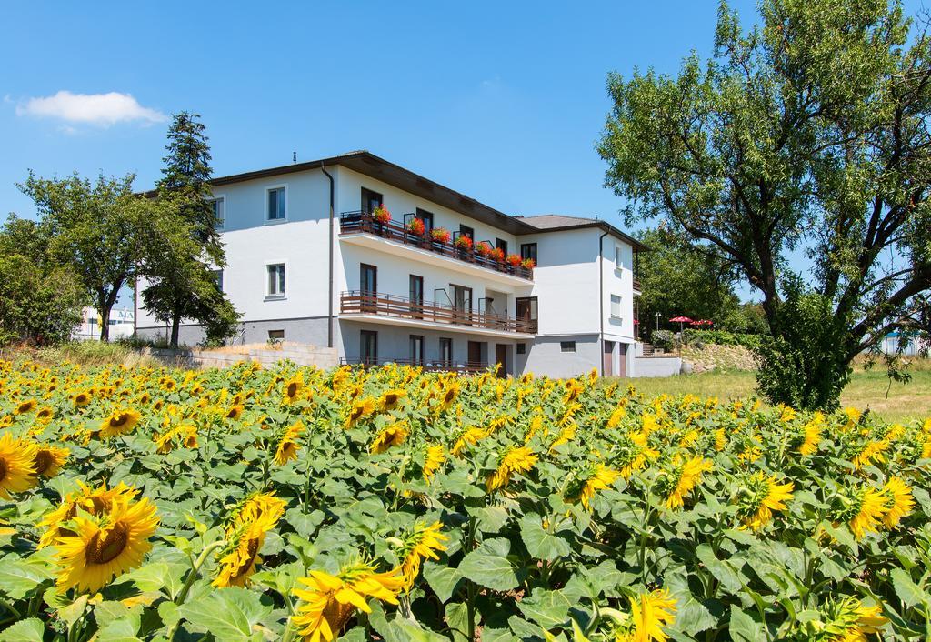 Gasthof-Pension Wein Breitenbrunn am Neusiedler See Esterno foto